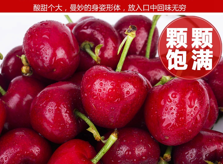 图片[8]-山东大樱桃新鲜水果，5斤装顺丰空运包邮只要168元-万荀网