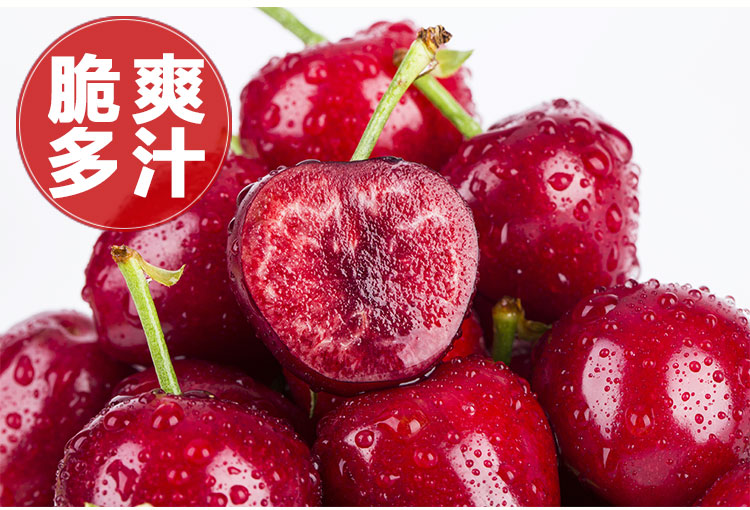 图片[7]-山东大樱桃新鲜水果，5斤装顺丰空运包邮只要168元-万荀网