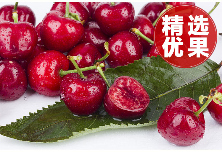 图片[10]-山东大樱桃新鲜水果，5斤装顺丰空运包邮只要168元-万荀网