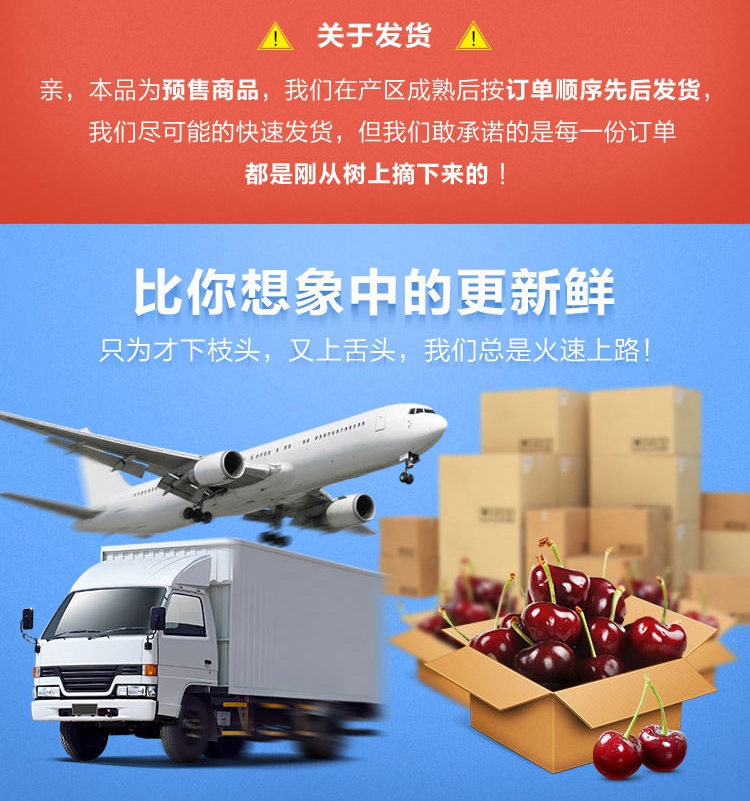 图片[15]-山东大樱桃新鲜水果，5斤装顺丰空运包邮只要168元-万荀网