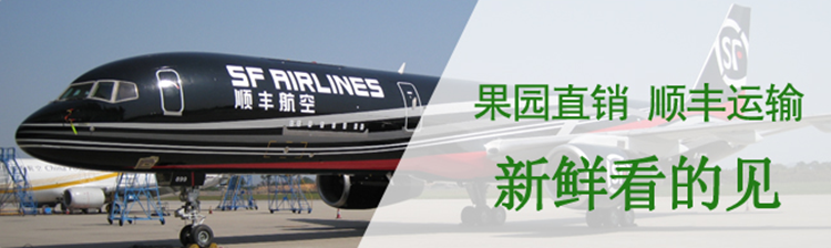 图片[2]-山东大樱桃新鲜水果，5斤装顺丰空运包邮只要168元-万荀网