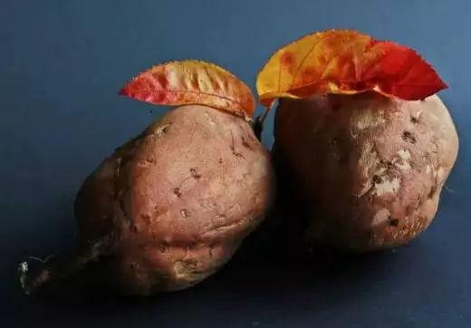 看了九大致命的爱好我们再来９条家庭养生技巧送给大家-万荀网