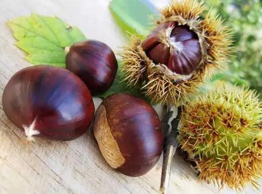 图片[3]-看了九大致命的爱好我们再来９条家庭养生技巧送给大家-万荀网