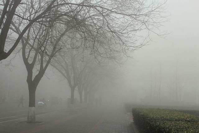 图片[3]-到底在什么时候不适合晨练，哪种天气不适合晨练-万荀网