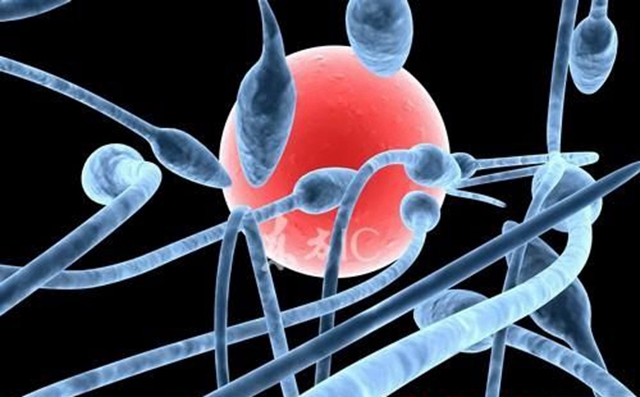 图片[8]-揭秘：这就是难以想象的六大杀精食物，你真的细看了吗-万荀网