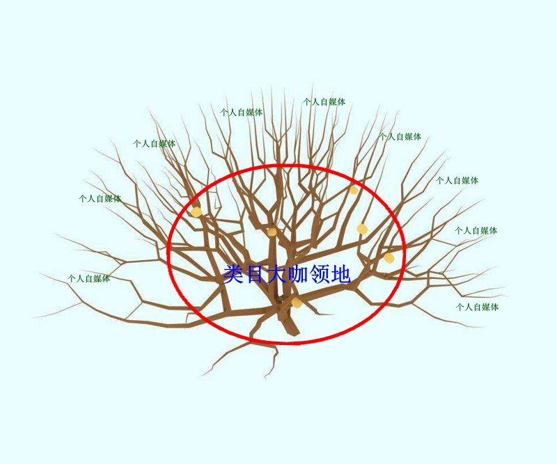 图片[2]-什么才是真正的原创个人自媒体，用一棵树分析到底怎样做好自媒体-万荀网