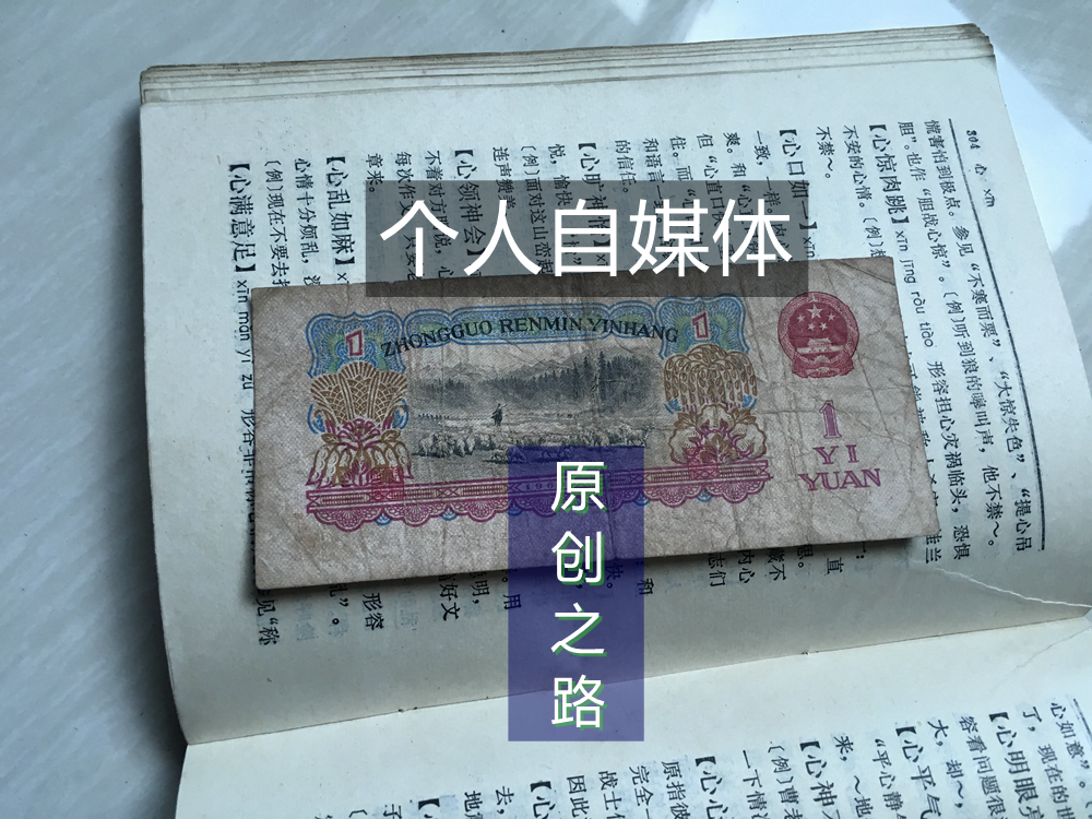 什么才是真正的原创个人自媒体，用一棵树分析到底怎样做好自媒体-万荀网