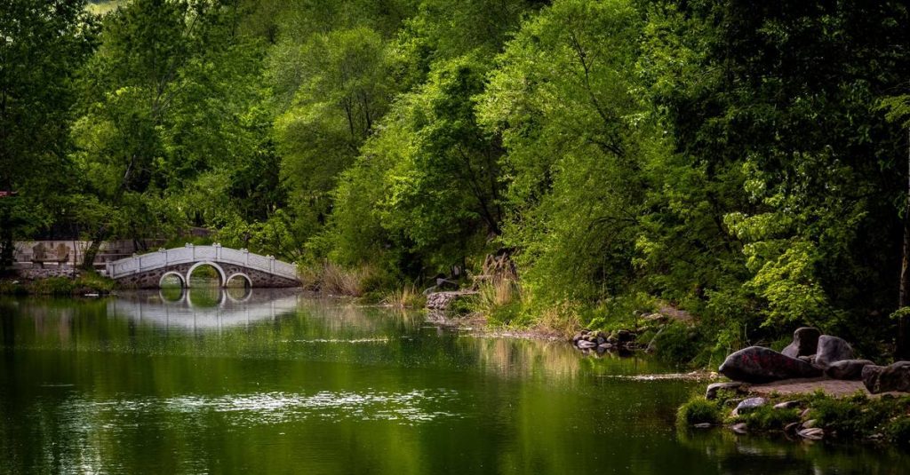图片[4]-曾经的芳华到底还是败给了快节奏生活中繁华的车水马龙-万荀网