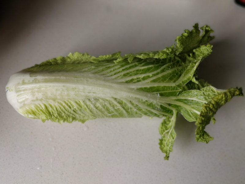 图片[2]-有时候一盘剩饭告诉你生活在于用心，而并非只在于用钱-万荀网