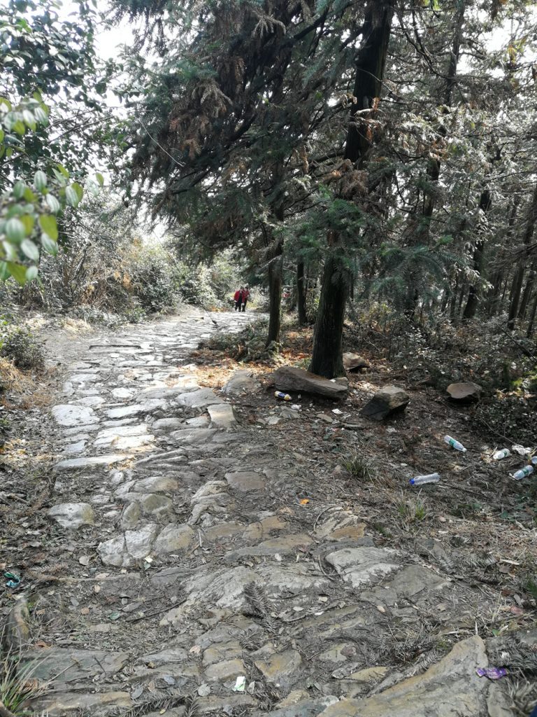 图片[6]-2018春节过后登上山顶只为看一下这棵1400多年的老树-万荀网