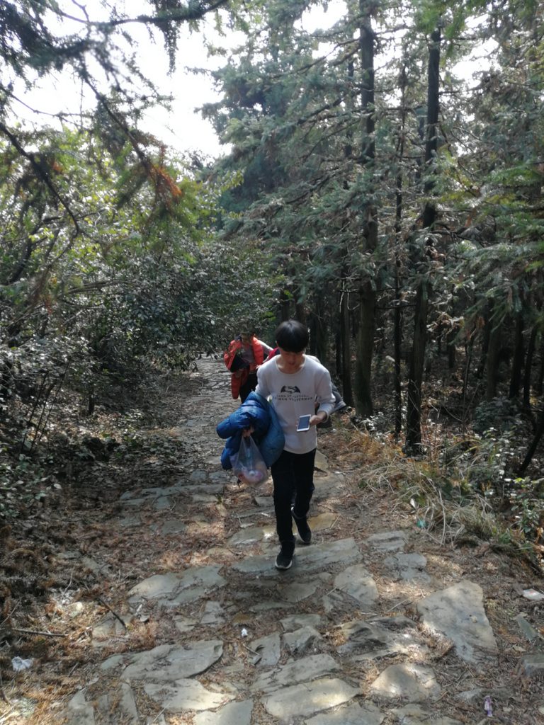 图片[13]-2018春节过后登上山顶只为看一下这棵1400多年的老树-万荀网