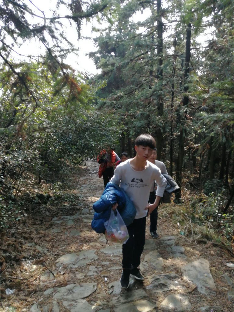 图片[5]-2018春节过后登上山顶只为看一下这棵1400多年的老树-万荀网