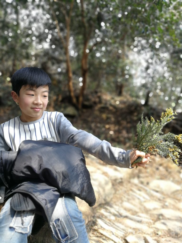 图片[7]-2018春节过后登上山顶只为看一下这棵1400多年的老树-万荀网