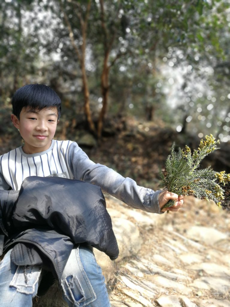 图片[11]-2018春节过后登上山顶只为看一下这棵1400多年的老树-万荀网