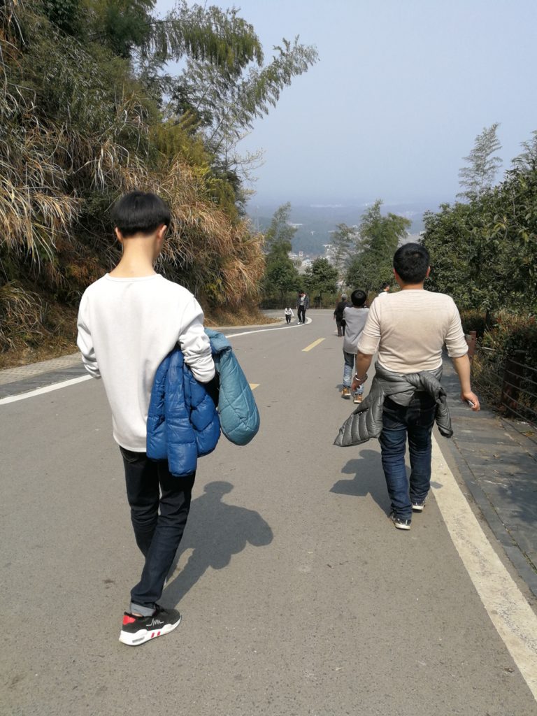 图片[16]-2018春节过后登上山顶只为看一下这棵1400多年的老树-万荀网