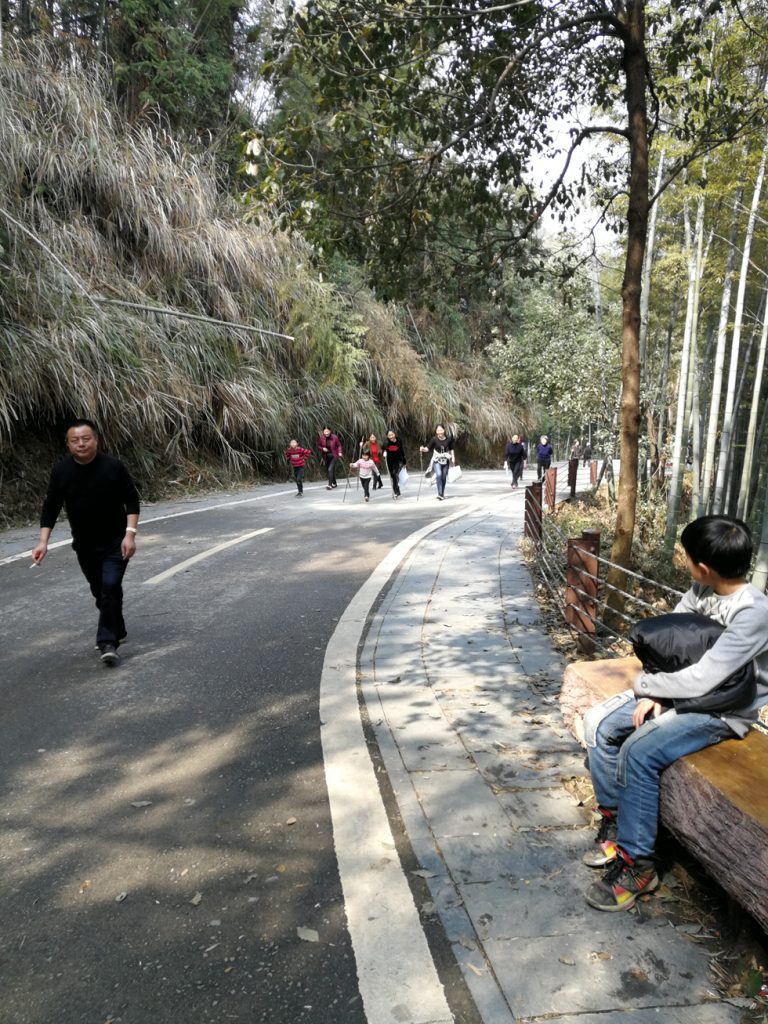 图片[4]-2018春节过后登上山顶只为看一下这棵1400多年的老树-万荀网