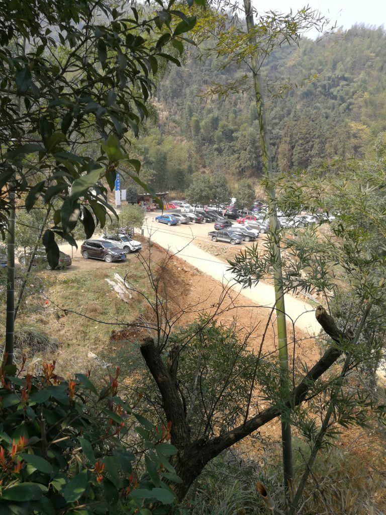 图片[3]-2018春节过后登上山顶只为看一下这棵1400多年的老树-万荀网