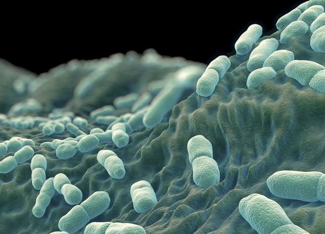 图片[3]-论生熟食分开的必要性，身为孕妇或正在备孕的你看了吗-万荀网