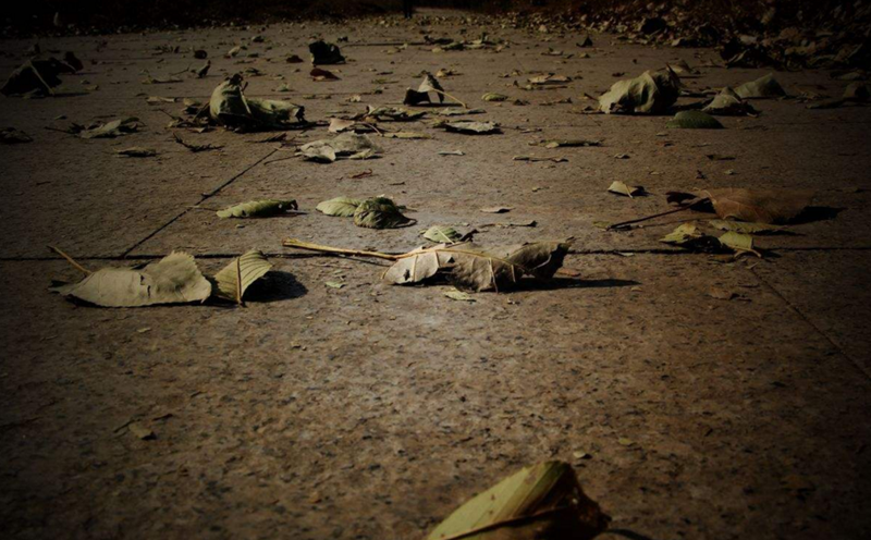 有时候一个真正关心你的人可能都不怎么和你联系-万荀网