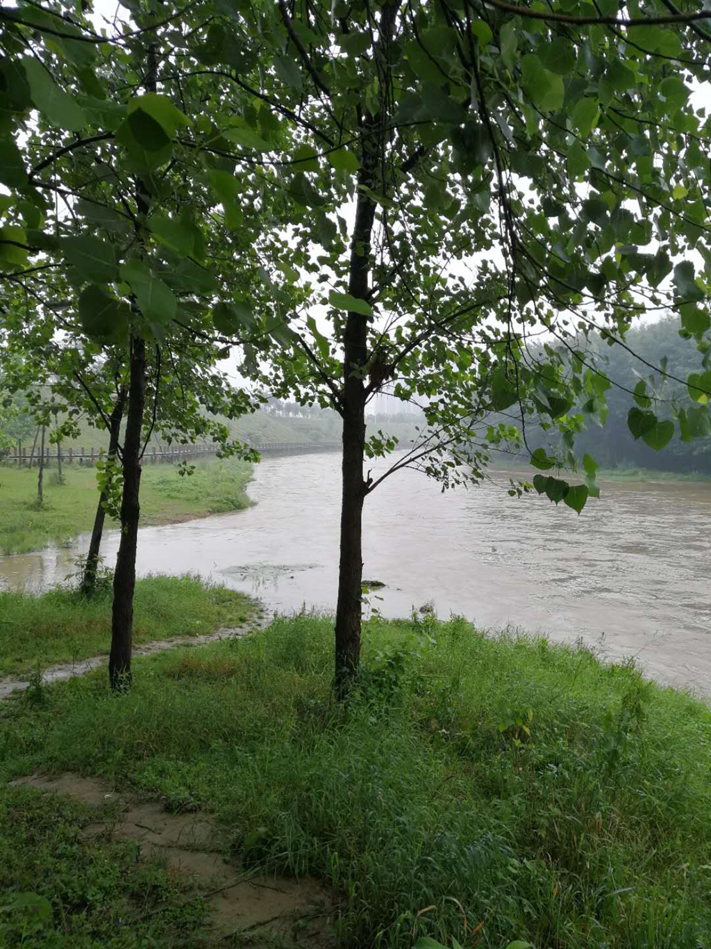 图片[4]-用时光慰藉我们的人生，再不疯狂你就老了-万荀网