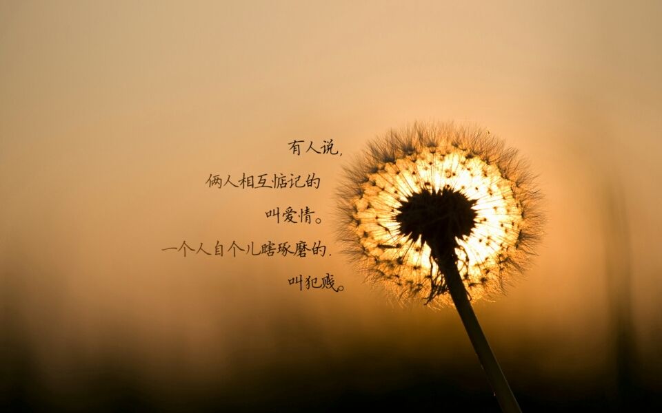 图片[4]-人与人之间的情感 也许就是这么慢慢变淡的-万荀网