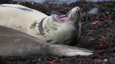 图片[5]-极至国际旅游，感受那天地自然的一刻-万荀网