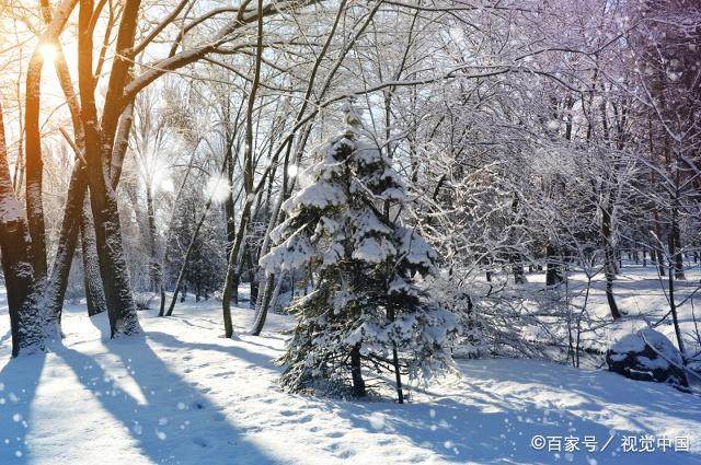 图片[4]-活到一定年纪，你想起过那些容易被你忽略但又并不在意的事吗-万荀网