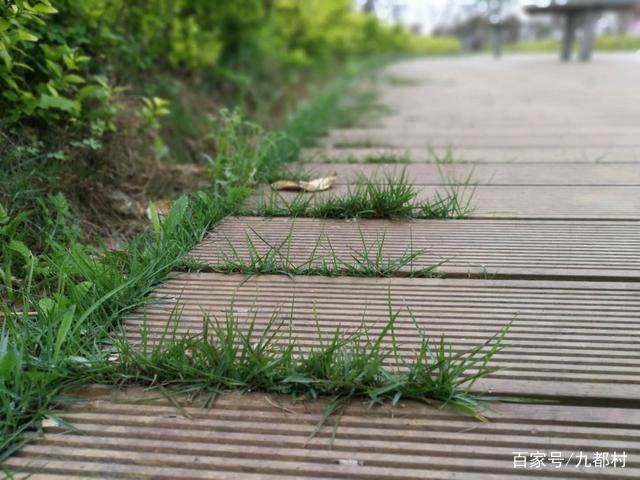 图片[2]-活到一定年纪，你想起过那些容易被你忽略但又并不在意的事吗-万荀网