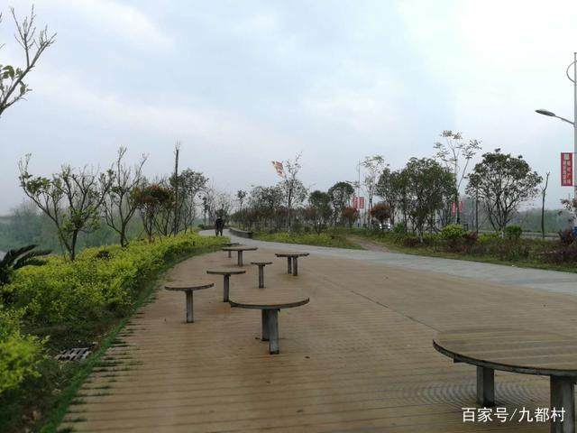 图片[5]-活到一定年纪，你想起过那些容易被你忽略但又并不在意的事吗-万荀网