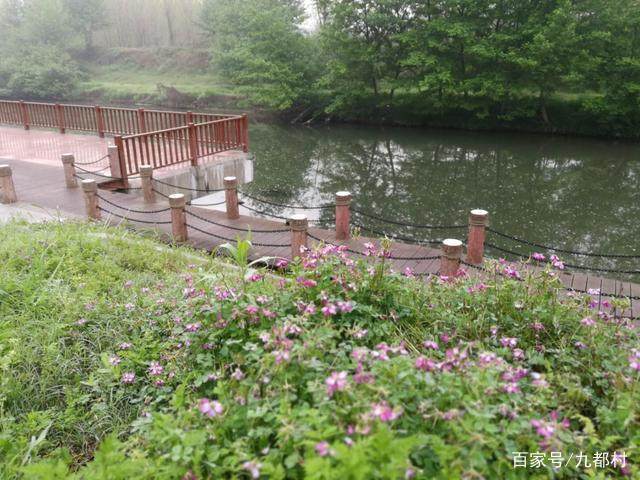 图片[3]-活到一定年纪，你想起过那些容易被你忽略但又并不在意的事吗-万荀网