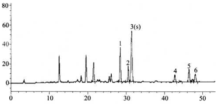 图片[3]-颠茄流浸膏-万荀网