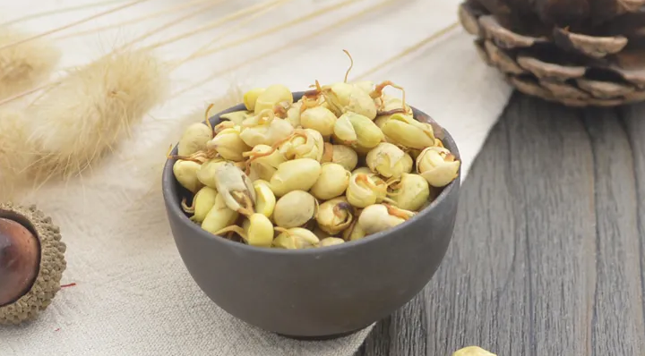 大豆黄卷-万荀网