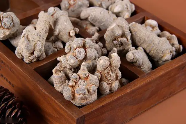 散瘀止血，消肿定痛。用于咯血，吐血，衄血，便血，崩漏，外伤出血，胸腹刺痛，跌扑肿痛