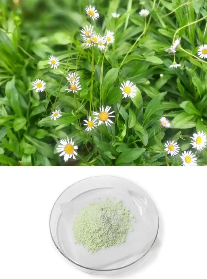 灯盏花素-万荀网