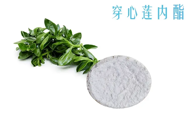 穿心莲内酯-万荀网
