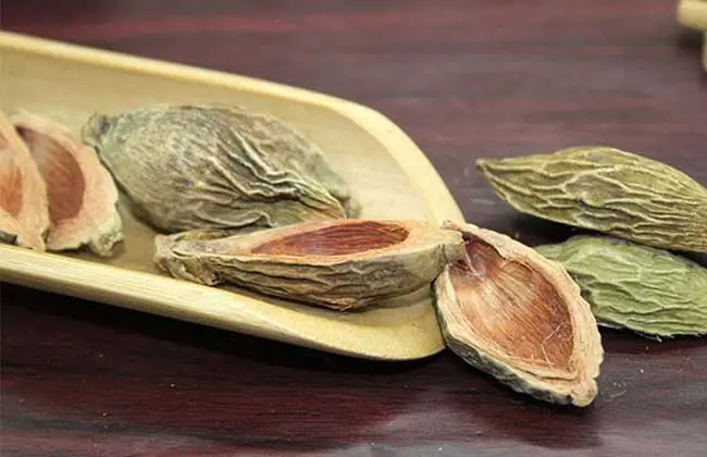 行气宽中,行水消肿,湿阻气滞,脘腹胀闷,大便不爽,水肿胀满,脚气浮肿,小便不利