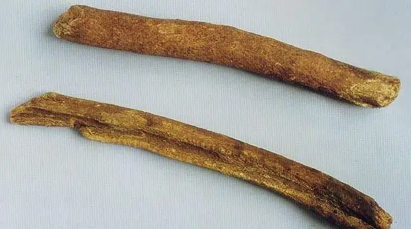 图片[2]-川木香-万荀网