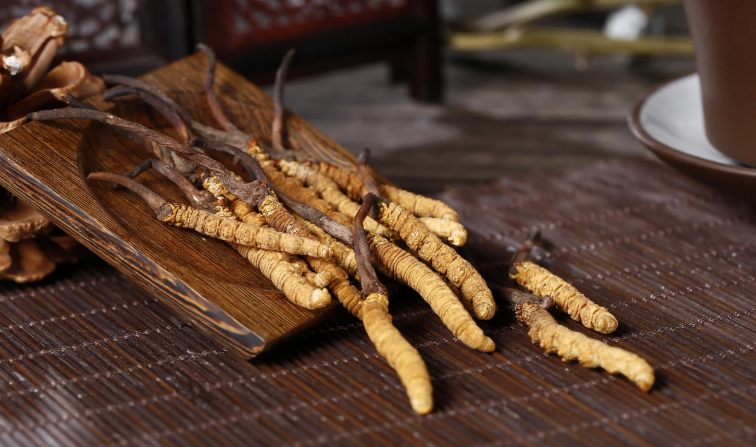 冬虫夏草-万荀网