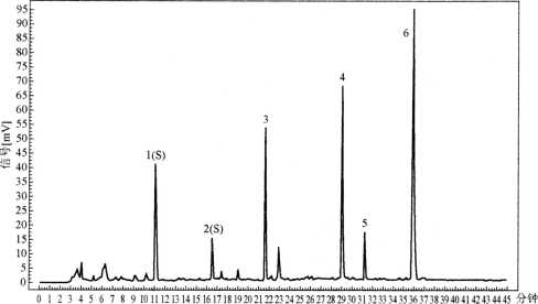 图片[3]-天麻-万荀网