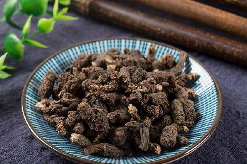 图片[2]-天葵子-万荀网