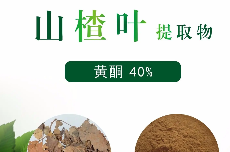 山楂叶提取物-万荀网