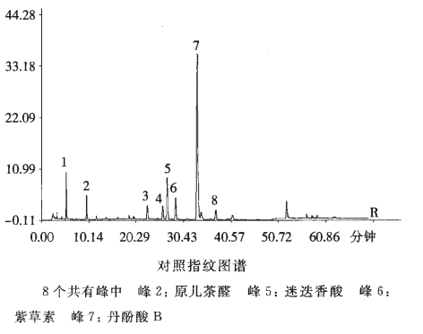 图片[3]-丹参水提物（丹参总酚酸提取物）-万荀网