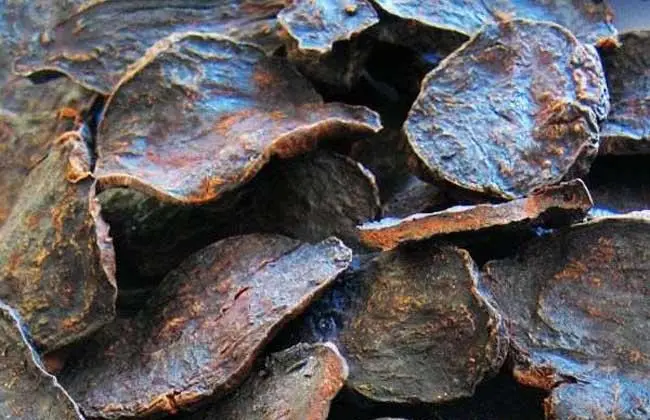 制何首乌-万荀网