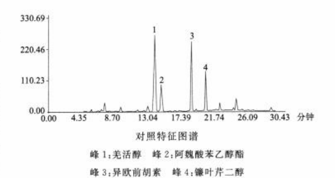 图片[3]-羌活-万荀网