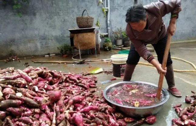 图片[2]-为什么正宗的红薯粉条城里人都不愿意买-万荀网
