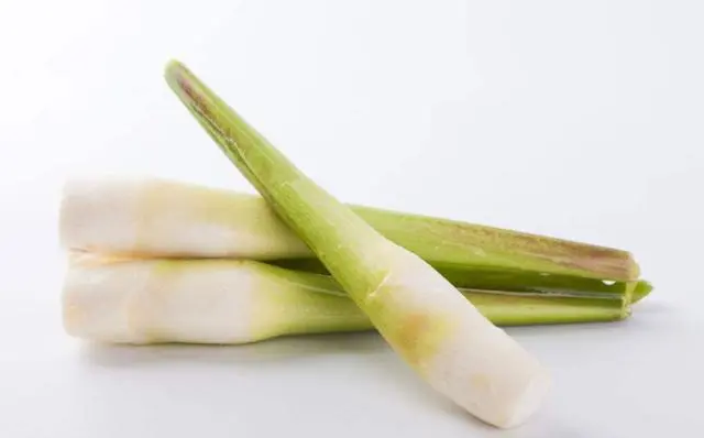 图片[5]-9种中国的顶级食材，每一种食材都是宝藏-万荀网