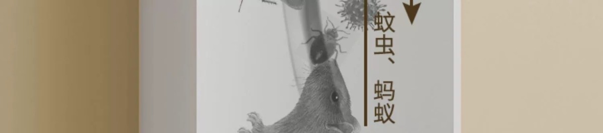 图片[10]-多色全铜防臭地漏长方形隐形淋浴房洗衣机卫生间专用LEUNITA官方-万荀网