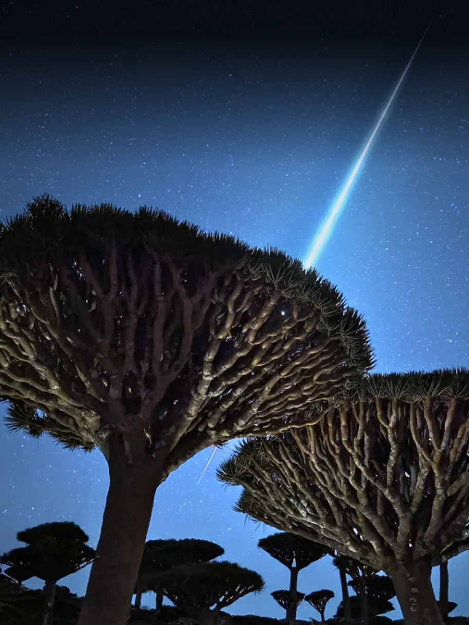 影像 同享影像创作的愉悦-万荀网