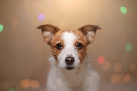 四大名著为什么能称为四大名著这里说得明明白白-万荀网