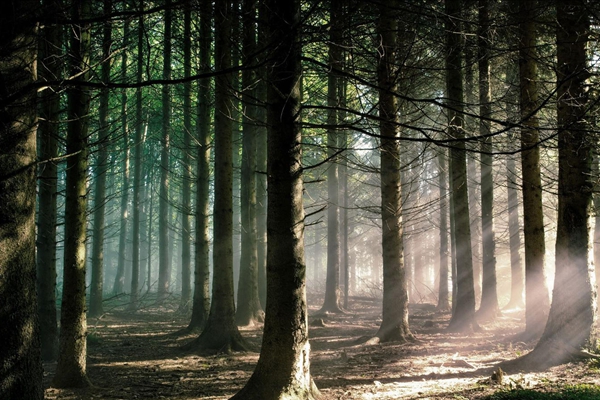 你若将过去抱的太紧，怎么能腾出手来拥抱现在？-万荀网